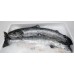 Norwegian Organic Salmon