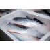 Norwegian Organic Salmon